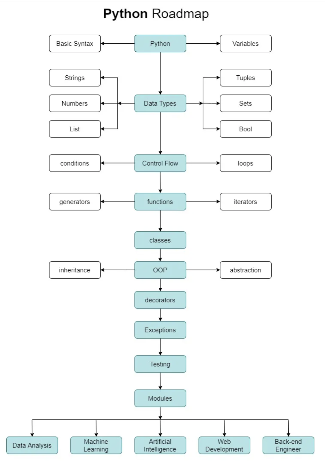 python roadmap